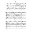 Serenáda E dur pro smyčcový orchestr op. 22
