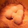 PUMPKIN SPICE BATH BOMB (LIMITED EDITION)
