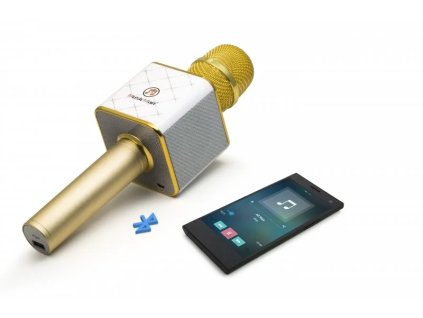 Technaxx BT-X31 Bluetooth karaoke mikrofón