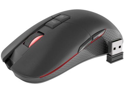 genesis zircon 330 ien371017