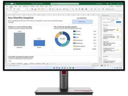 Lenovo ThinkVision P27h-30 - 27" (63A1GAT1EU)