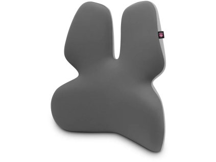 CONNECT IT FOR HEALTH GamaPro Anatomická bedrová opierka pre stoličku, ŠEDÁ