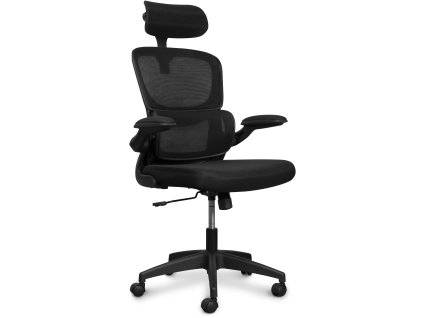 Pripojte sa na zdravie Kancelárska stolička DeltaPro, čierna