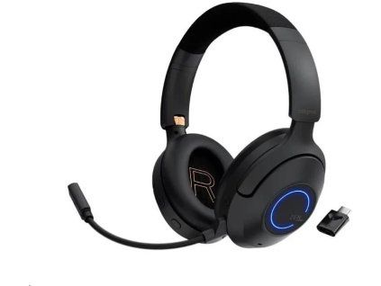 creative zen hybrid pro classic ien523604