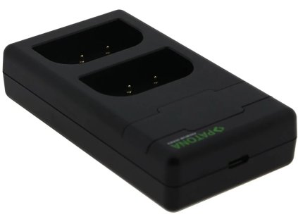 Rýchlonabíjačka PATONA Photo Dual Panasonic DMW-BLF19 + kábel