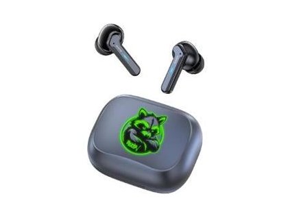 BTW 8200 RACCOON TWS ANC HEARING. BUXTON