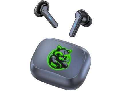 BTW 8200 RACCOON TWS ANC HEARING. BUXTON