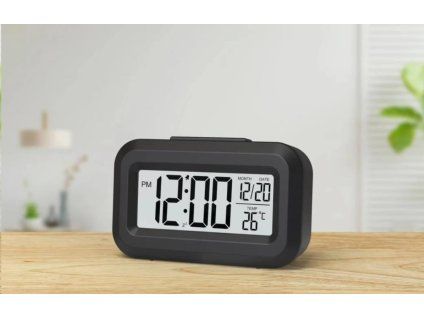 winner group digitherm alarm cerny ien565423