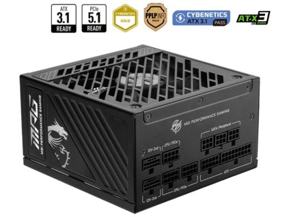 MSI MPG A1250GS PCIE5 1250W