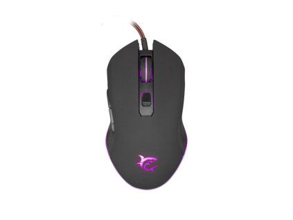 white shark cyrus cerna ien566302