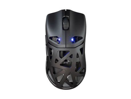 white shark dagonet cerna ien566304