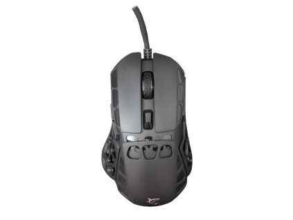 white shark ector cerna ien566307