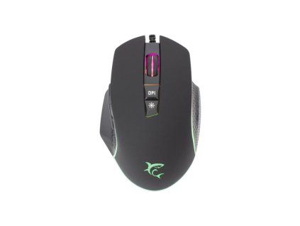 white shark gareth cerna ien566314