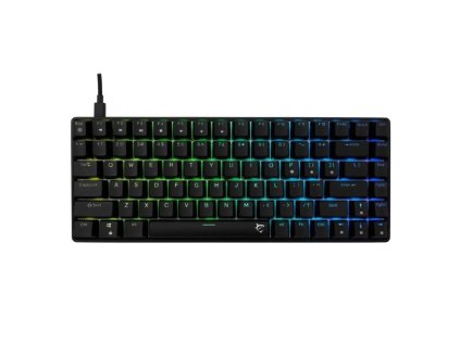 White Shark HAMACHI, černá (US)