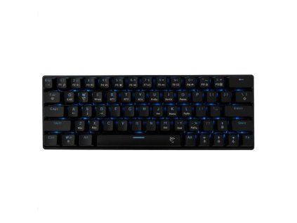 white shark kaiken cerna us ien566360