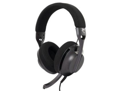 white shark parrot cerny ien566371