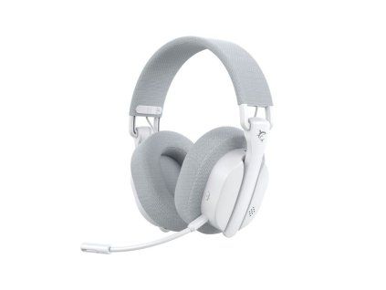 white shark firecrest bily ien566638