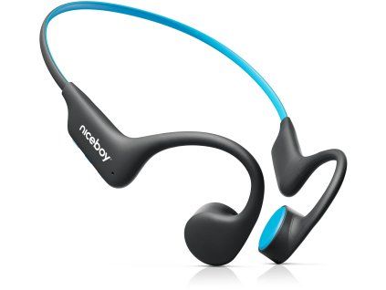 niceboy hive bones 3 ien426663