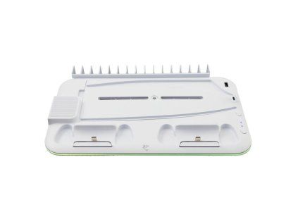 white shark kimura 2 ien572604