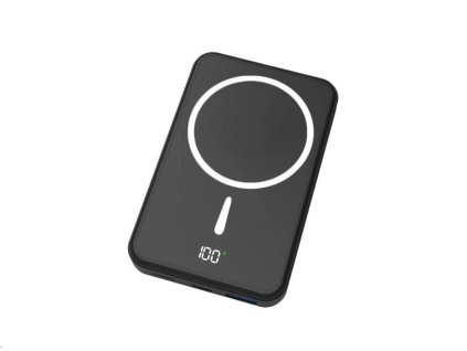 Power banka WINNER GROUP 10000 mAh