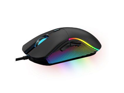 VÍŤAZ SKUPINA Chameleón III