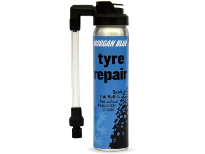 587582 lepeni spray morgan blue tyre reapir