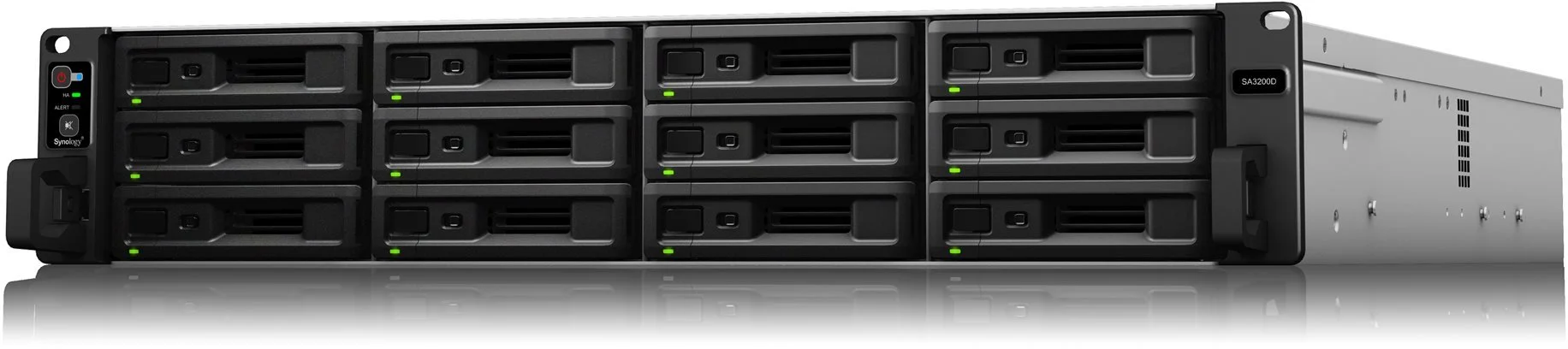 Synology DiskStation SA3200D, 12x SAS server, 8Gb LAN