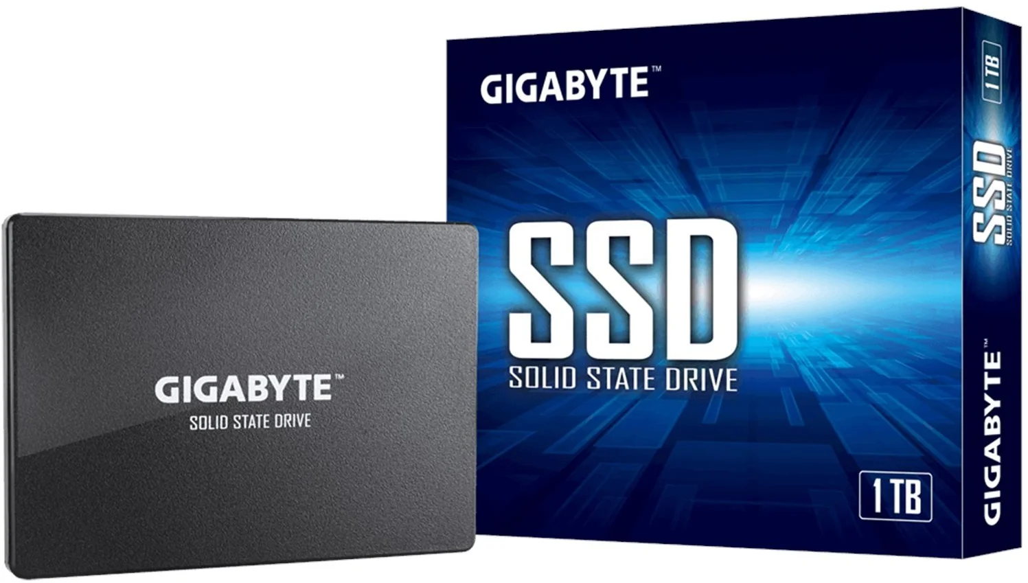 GIGABYTE SSD 1TB GP-GSTFS31100TNTD