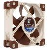 noctua nf a8 pwm ien215498