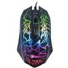 c tech tychon cerna ien300201