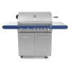 g21 bbq gril florida image1 big ies24597636