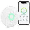 airthings wave plus ien376153