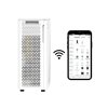 TrueLife AIR Purifier P7 WiFi 8594175355705