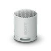sony sony srs xb100 seda image1 big ies74127987
