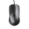 trust basics mouse image1 big ies74567915
