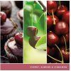 yankee candle black cherry 567g image1 big ies75454730