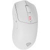 genesis zircon 500 bila ien513976