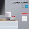 EVOLVEO WiFi Dual Switch - inteligentný prepínač