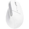 trust bayo ergonomic wireless mouse bila ien527346