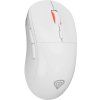 genesis zircon xiii bila ien535199