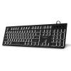 evolveo k1010 cz sk ien553089