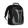 wenger pegasus 17 ien264404