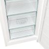 gorenje fn619eew5 image1 big ies93222491