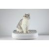 petkit schody pro kockolity image1 big ies93526476