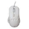 white shark ector bila ien566306