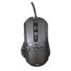 white shark ector cerna ien566307