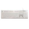white shark tachi bila us ien566330