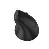 canyon mouse mw 25 ergonomic led aa dual mode wireless black ien567894