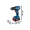 BOSCH Professional AKU kombinovaný šroubovák GSB 185-LI 2x aku+nabíječka+přísl. (0.615.990.N2P)