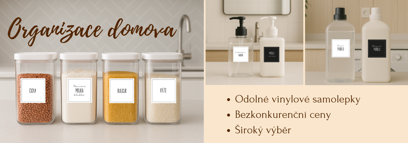 Organizace domácnosti
